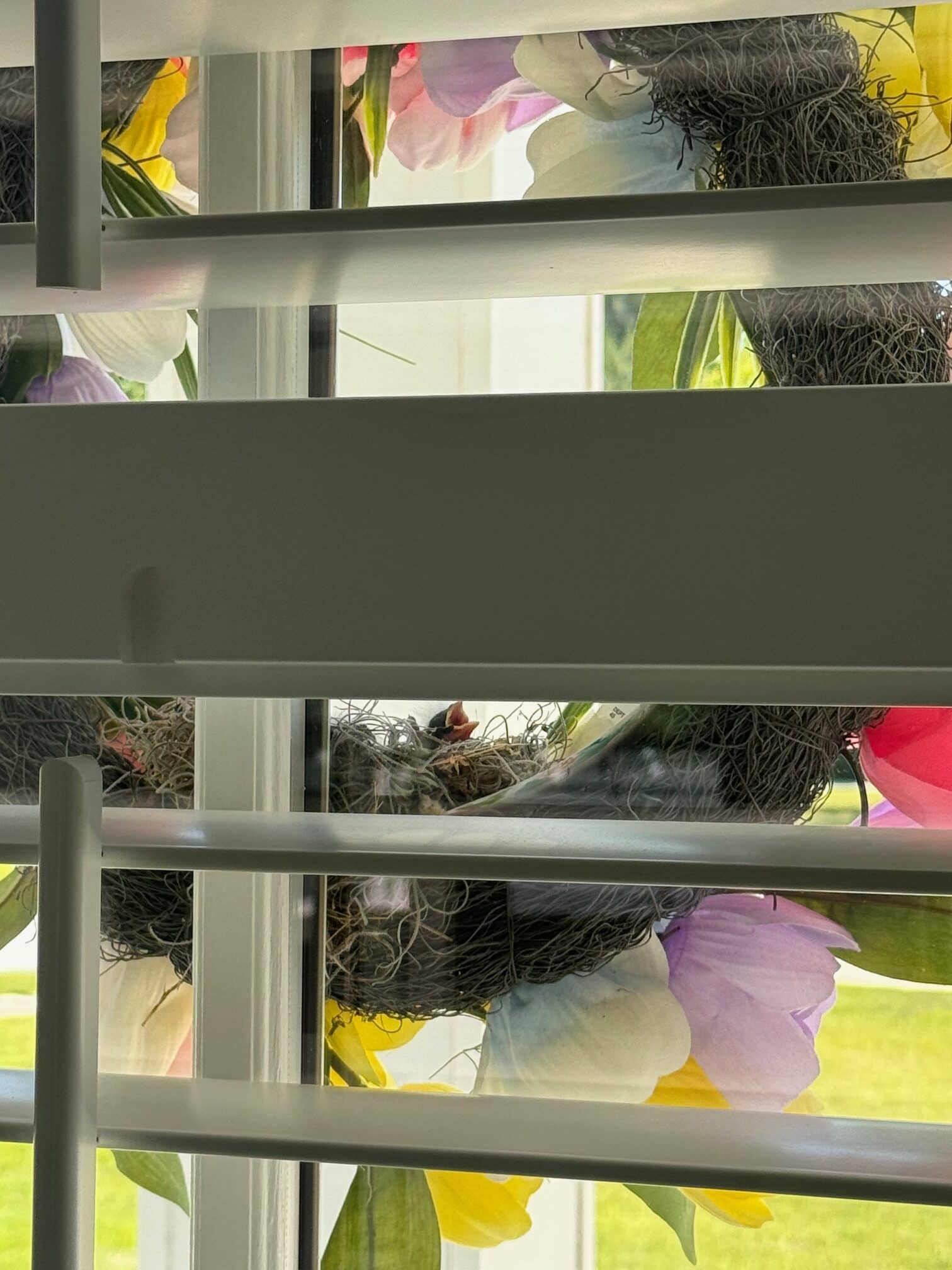 Bird In Wreath